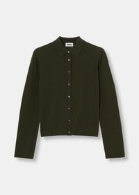 #color_dark green